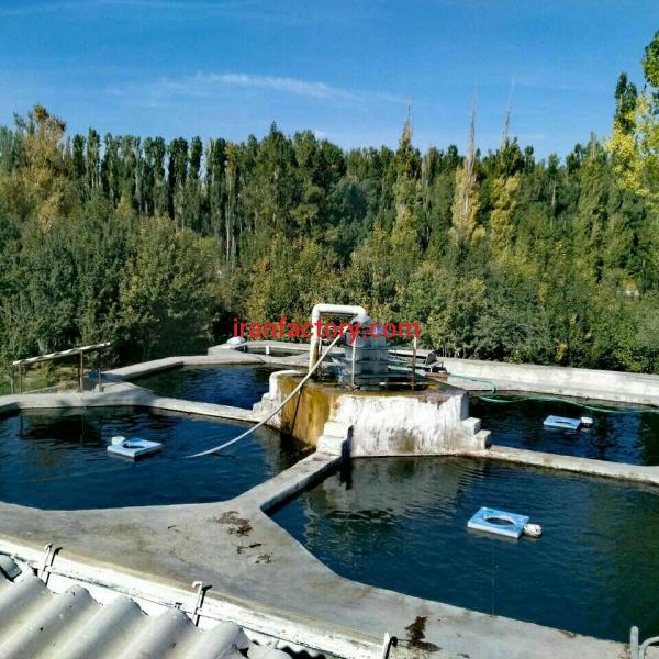 واحد پرورش ماهی فعال ۴۰۰۰ متر جاده تهران