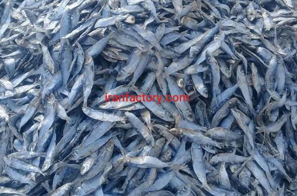 ماهی خشک ساردین