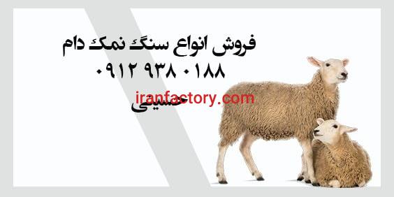 سنگ نمک برای دام فروش عمده و خرده