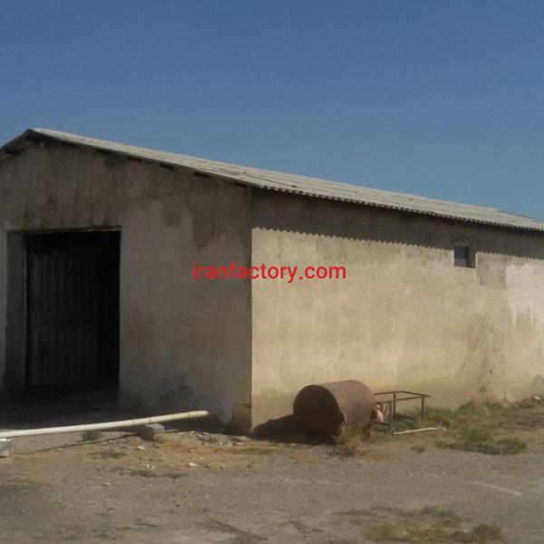 فروش مرغداری در همدان