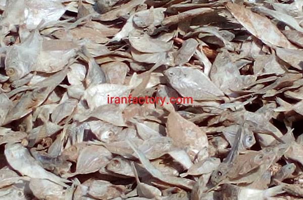 ماهی خشک جنوب