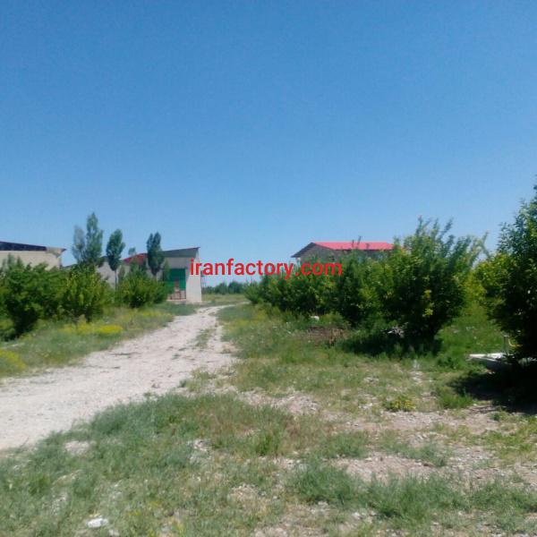 فروش کارخانه ماء الشعیر