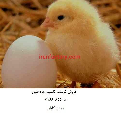 خرید کربنات کلسیم خوراک طیور- فروش کربنات کلسیم معدن کاوان