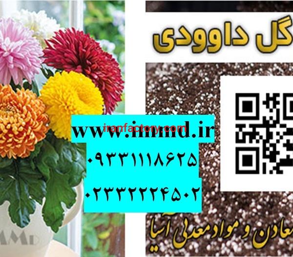فروش پرلیت برای بستر کشت گل داوودی