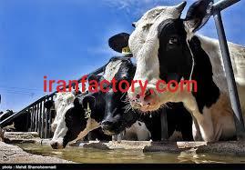 فروش دامداری صنعتی قرچک استثنایی