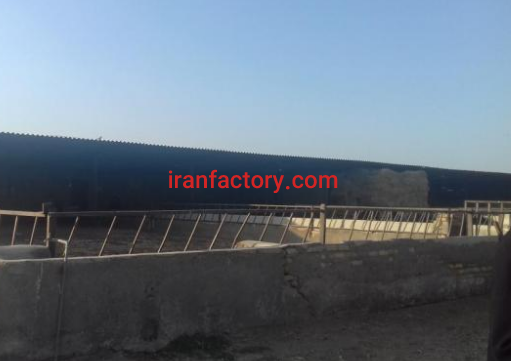 15000 متر گاوداری فروشی در قرچک تهران