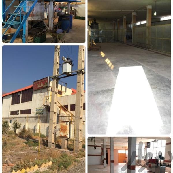 فروش کارخانه زیتون و روغن زیتون در تهران