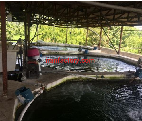 فروش یا معاوضه۲۰۰۰ متر مزرعه پرورش ماهی قزل آلا  در نوشهر