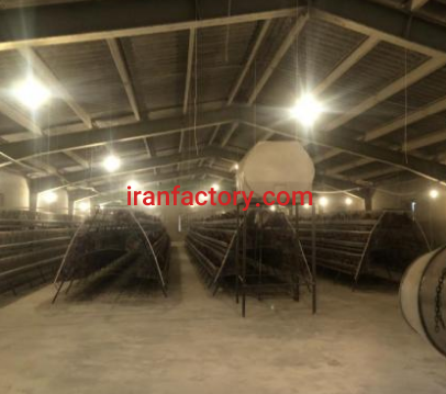 فروش 12600 متر مرغداری تخم گذار در ماکو