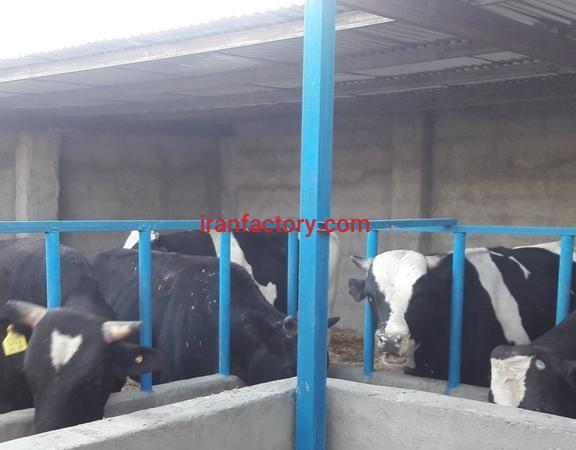 فروش گاوداری در بیرجند