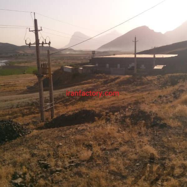 فروش کارخانه پرورش قارچ در کرمانشاه