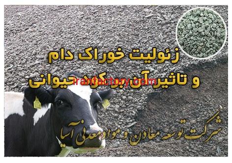 پرلیت بنتونیت و زئولیت خوراک و بستر دام و طیور