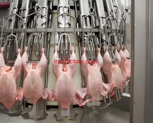 کشتار مرغ گوشتی تمام اتوماتیک