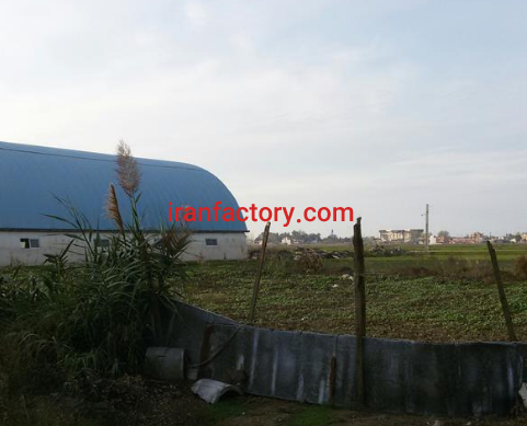 فروش 1700 متر زمین جهت گلخانه و سوله در ساری