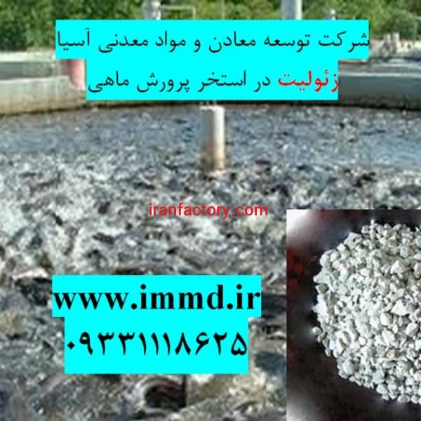 فروش زئولیت در بستر استخرپرورش ماهی