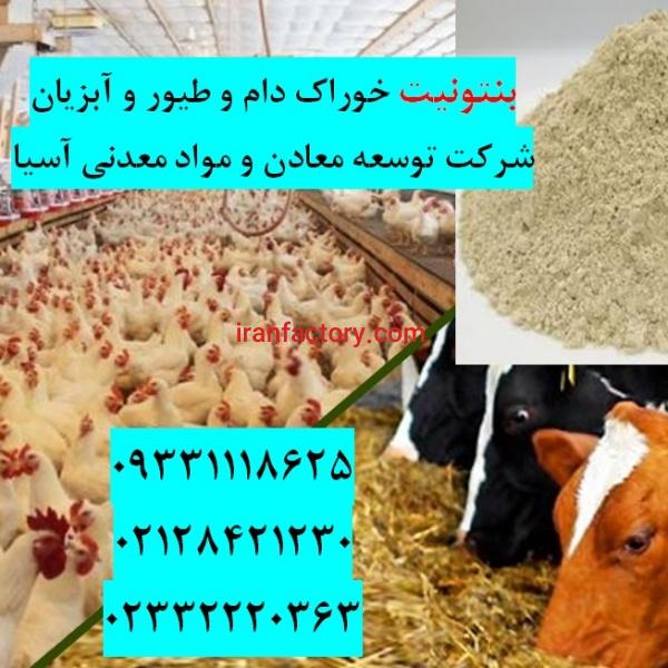 فروش بنتونیت ویژه تهیه خوراک دام و طیور و آبزیان