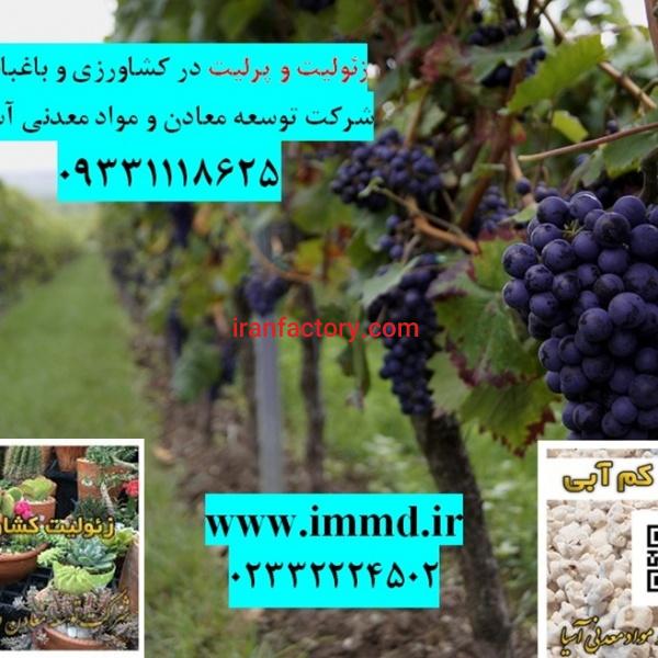 فروش زئولیت و پرلیت در کاشت نهال