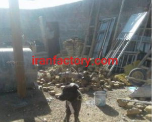 فروش 500متر گاوداری در نظرآباد