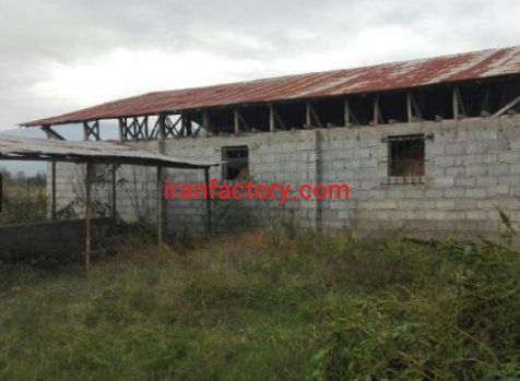 فروش 2000 متر  زمین و دامداری و استخر در املش