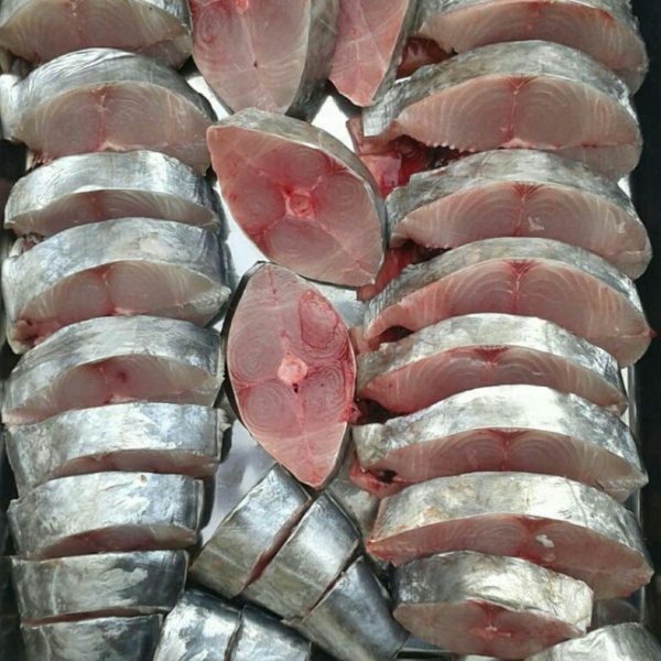 ماهی شیر اصل