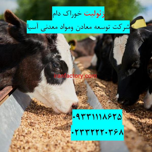 فروش زئولیت خوراک گاو شیری