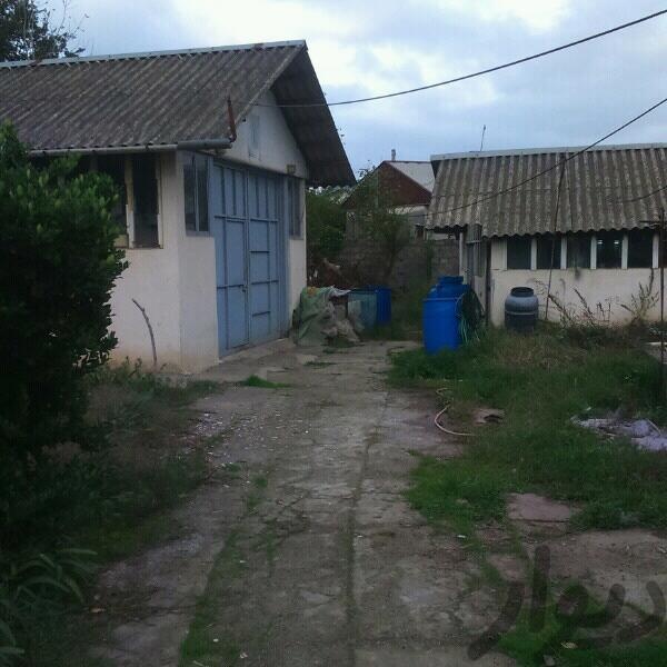 فروش کارخانه فراوری زیتون موسویان در رشت