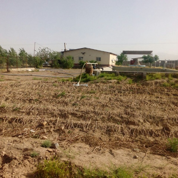 مزرعه دامداری و کشاورزی