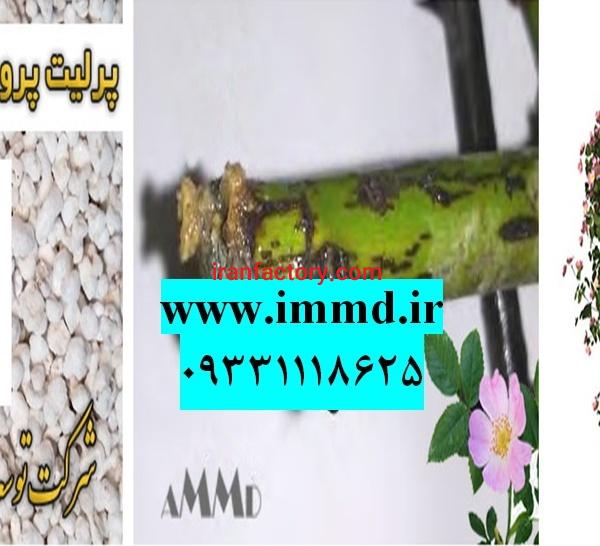فروش پرلیت کاشت نسترن وحشی