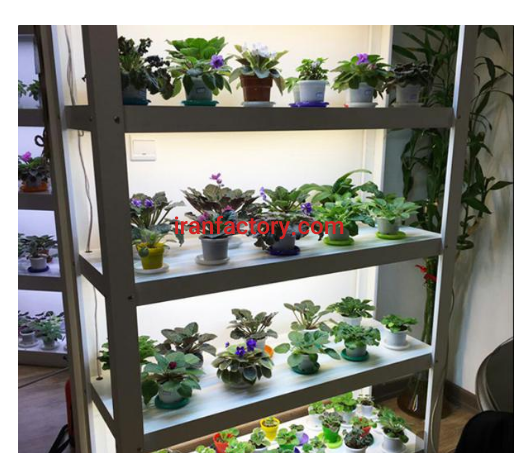 تولید ونصب چراغ های LED رشدگیاهان در ابادان
