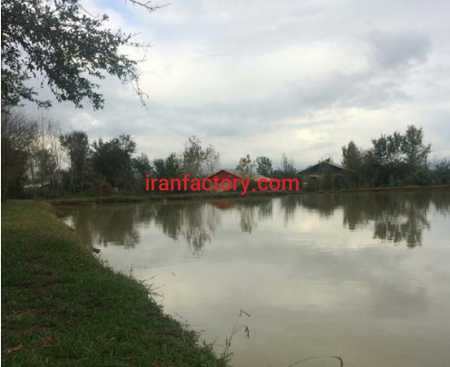 فروش 26300 متر زمین و استخر با کاربری پرورش ماهی در رشت