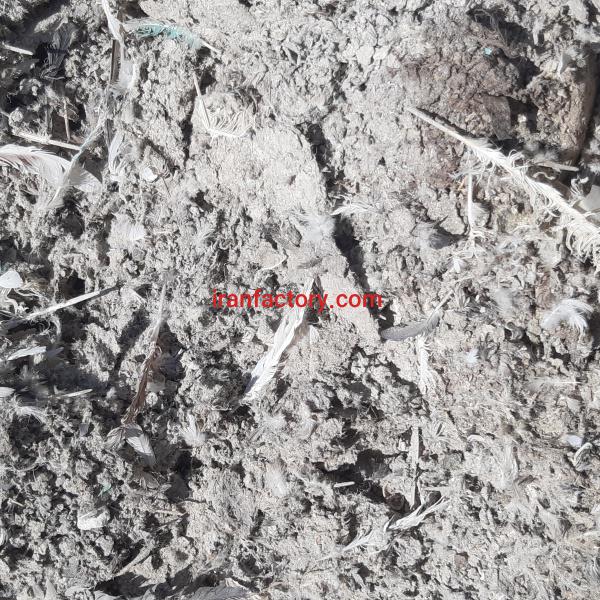 فروش کود کبوتر بدون ناخالصی