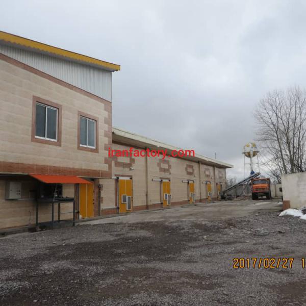 فروش کارخانه تولیدقارچ