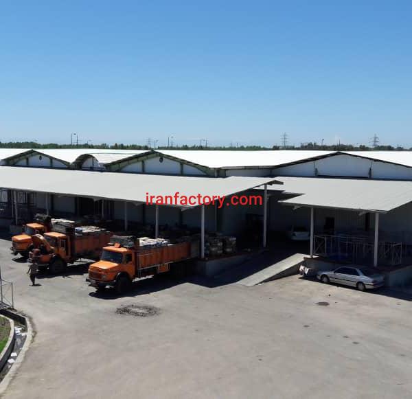 سردخانه و سورتینگ