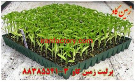 مزیت‌های استفاده از پرلیت پرورش بذر و قلمه زنی Perlite