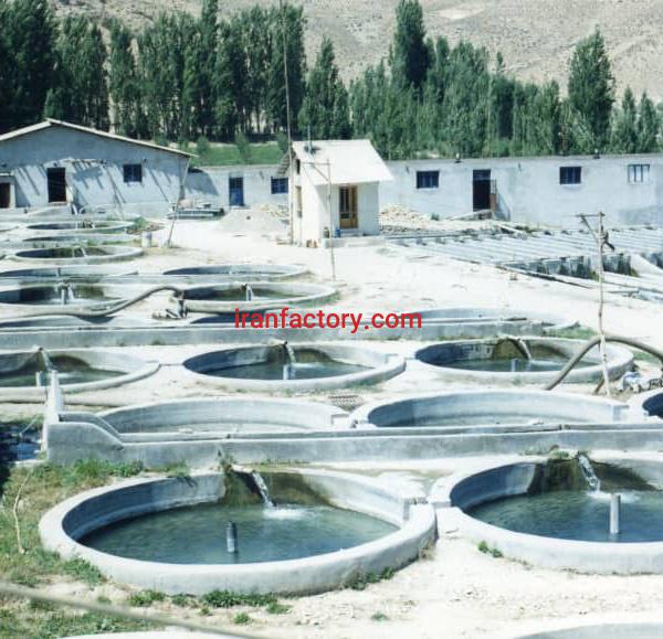 فروش پرورش ماهی در فیروزکوه