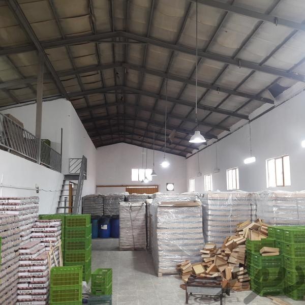 فروش سوله ایی ب متراژ ۵۵۰ متر در چالوس