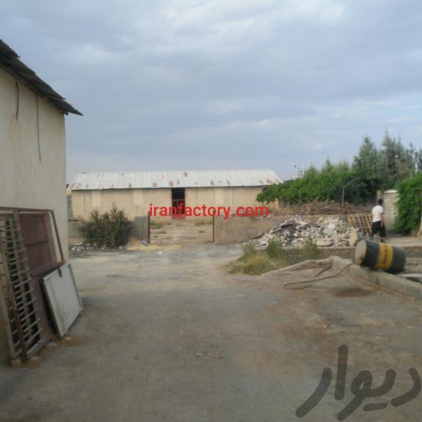 فروش دامداری در اصفهان