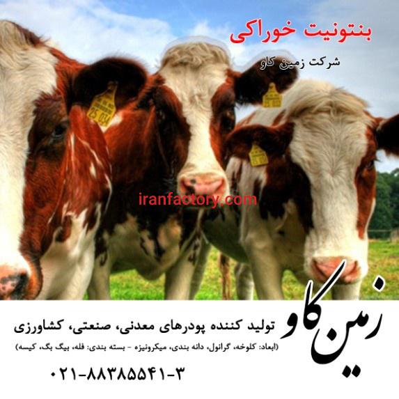 خواص بنتونیت در خوراک دام