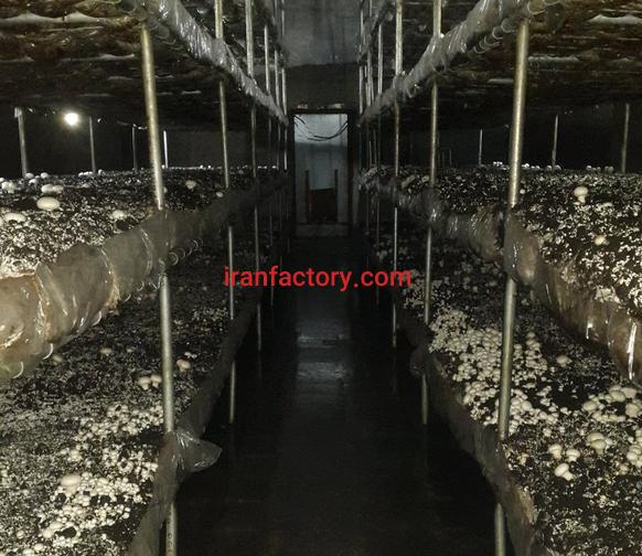 فروش مزرعه قارچ در اصفهان