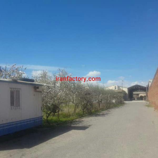 فروش کارخانه بسته بندی خشکبار