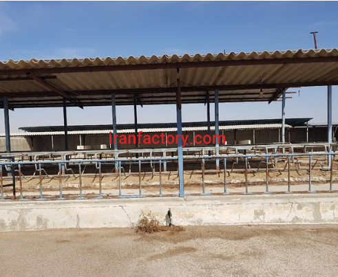 معاوضه یا فروش 4500 متر گاوداری در اصفهان