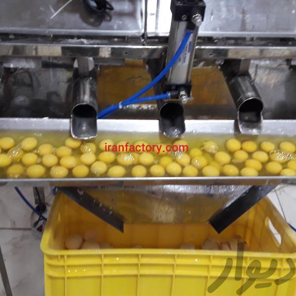 فروش کارخانه تخم مرغ شکنی در گلپایگان