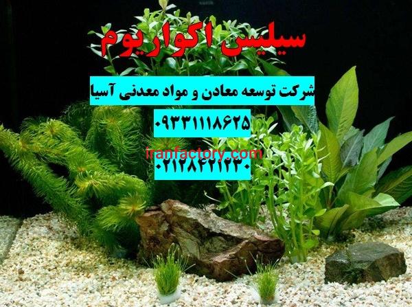 سیلیس شنی کف آکواریوم