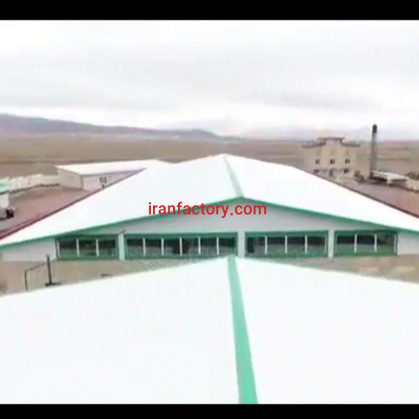 کشتارگاه صنعتی دام در تبریز