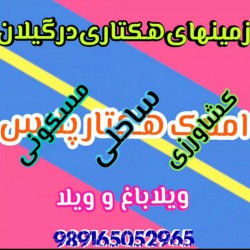 حسین زیدوند lazy