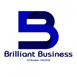 بریلینت بیزینس(Brilliant Business)