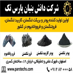 پارس تک