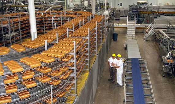 تولید و فروش انواع نان