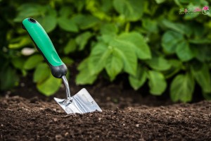 خاک باغبانی چیست؟