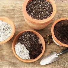 بهترین خاک کاکتوس 6 ماده اصلی خاک کاکتوس و ویژگی های آن